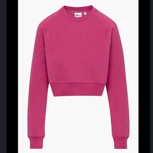 Aritzia Cozy Fleece Perfect Raglan Sweatshirt